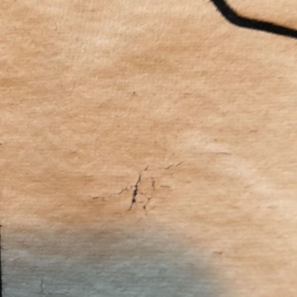 Gildan Halloween tshirt sz large Spider/Moon/All Hallows Eve black,white/yellow - Picture 5 of 15